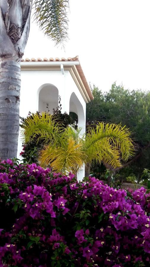 Queen Palm Praia Da Luz Exterior photo